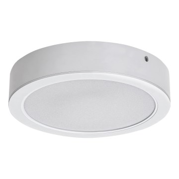 Rabalux - LED Stropna svjetiljka LED/24W/230V 3000K pr. 22 cm bijela