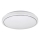 Rabalux - LED Stropna svjetiljka LED/24W/230V 3000K pr. 38 cm