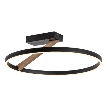 Rabalux - LED stropna svjetiljka LED/24W/230V 3000K Ø 45 cm