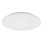 Rabalux - LED stropna svjetiljka LED/24W/230V 4000K Ø 38 cm