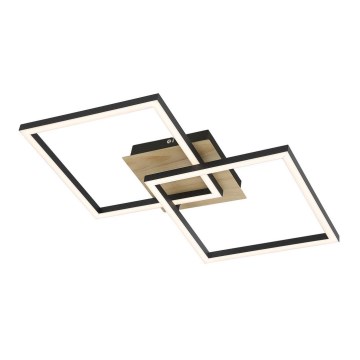 Rabalux - LED Stropna svjetiljka LED/24W/230V