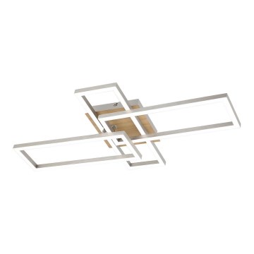 Rabalux - LED Stropna svjetiljka LED/24W/230V