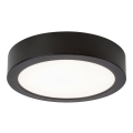 Rabalux - LED stropna svjetiljka LED/24W/230V promjer 22 cm