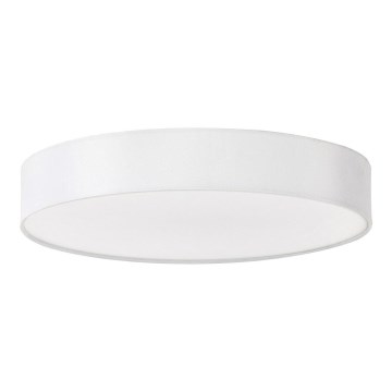 Rabalux - LED stropna svjetiljka LED/24W/230V promjer 40 cm