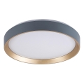 Rabalux - LED stropna svjetiljka LED/25W/230V 3000K promjer 38 cm