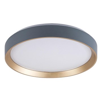 Rabalux - LED stropna svjetiljka LED/25W/230V 3000K promjer 38 cm