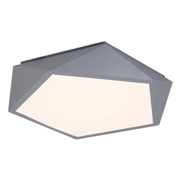 Rabalux - LED Stropna svjetiljka LED/30W/230V 3000K