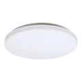 Rabalux - LED Stropna svjetiljka LED/32W/230V pr. 38 cm