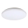 Rabalux - LED Stropna svjetiljka LED/32W/230V pr. 38 cm