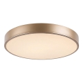 Rabalux - LED stropna svjetiljka LED/36W/230V 3000K Ø 40 cm