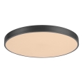 Rabalux - LED stropna svjetiljka LED/36W/230V Ø 40 cm crna