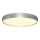 Rabalux - LED Stropna svjetiljka LED/37W/230V