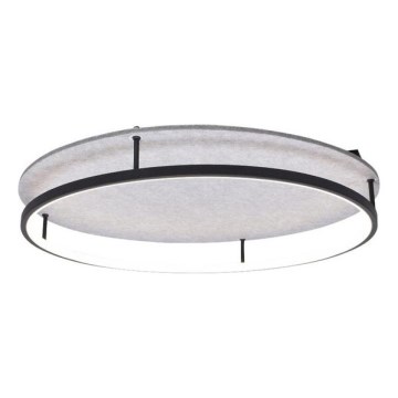 Rabalux - LED Stropna svjetiljka LED/40W/230V 3000/4000K