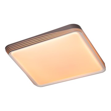 Rabalux - LED Stropna svjetiljka LED/40W/230V 3000K