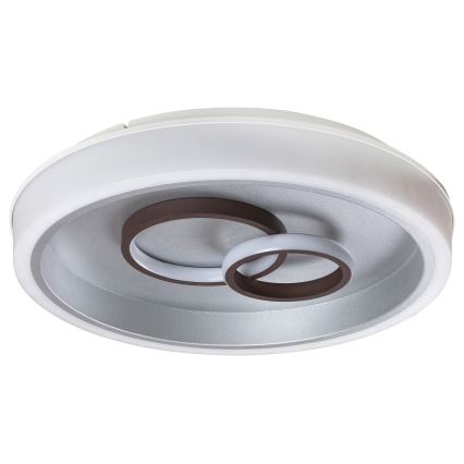 Rabalux - LED Stropna svjetiljka LED/40W/230V okrugla