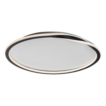 Rabalux  - LED Stropna svjetiljka LED/40W/230V pr. 56 cm crna
