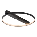 Rabalux - LED stropna svjetiljka LED/45W/230V 3000K 50x55 cm crna