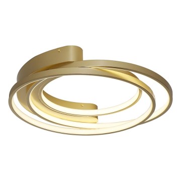 Rabalux - LED Stropna svjetiljka LED/50W/230V
