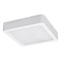 Rabalux - LED Stropna svjetiljka LED/7W/230V 3000K 12x12 cm bijela