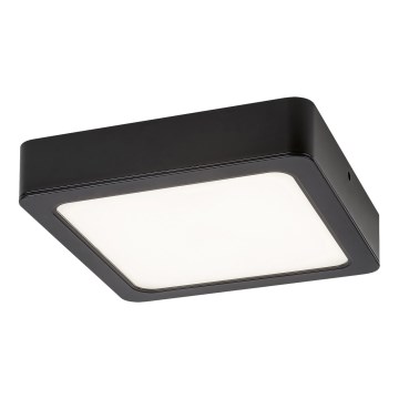 Rabalux - LED Stropna svjetiljka LED/7W/230V 3000K 12x12 cm crna