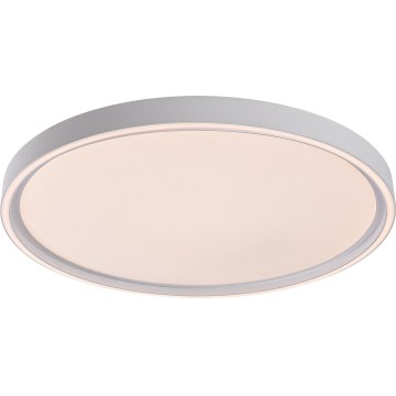 Rabalux - LED stropna svjetiljka s mogućnošću prigušivanja LED/54W/230V IP40 3000-6500K Ø 52 cm + daljinski upravljač