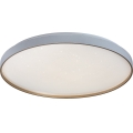 Rabalux - LED stropna svjetiljka s mogućnošću prigušivanja LED/60W/230V 3000-6500K Ø 58 cm + daljinski upravljač
