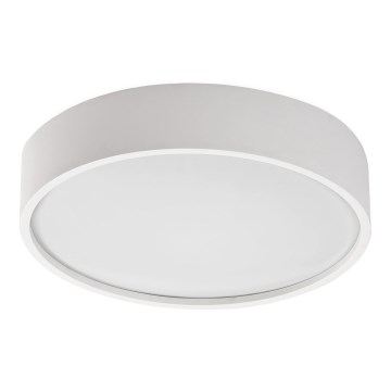 Rabalux - LED stropna svjetiljka sa senzorom LED/19W/230V IP44 4000K promjer 28,5 cm bijela