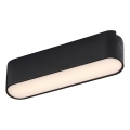Rabalux - LED Stropna svjetiljka za 1-fazni tračni sustav LED/6W/230V 3000K 11,5 cm crna
