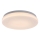 Rabalux - LED Stropna svjetiljka za kupaonicu LED/12W/230V 3000/4000/6000K IP44