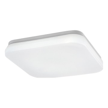 Rabalux - LED Stropna svjetiljka za kupaonicu LED/12W/230V 3000/4000/6000K IP44