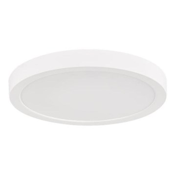 Rabalux - LED stropna svjetiljka za kupaonicu LED/30W/230V Ø 30 cm IP44 bijela