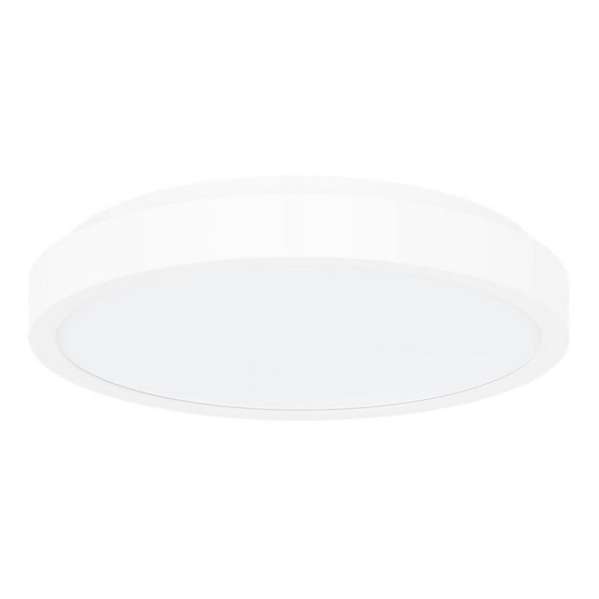 Rabalux - LED Stropna svjetiljka za kupaonicu LED/36W/230V IP44 4000K pr. 35 cm bijela
