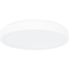 Rabalux - LED Stropna svjetiljka za kupaonicu LED/48W/230V IP44 4000K pr. 42 cm bijela