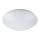 Rabalux - LED stropno svjetlo LED/12W/230V Ø 26 cm