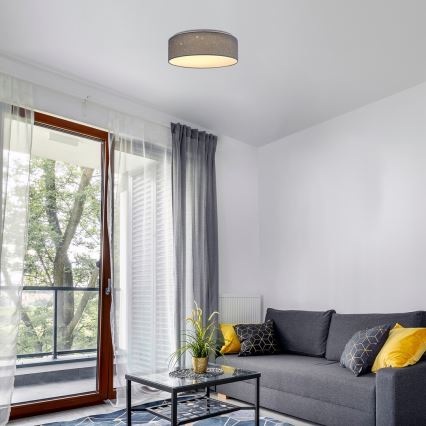 Rabalux - LED stropna svjetiljka LED/22W/230V, siva, promjer 40 cm