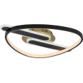 Rabalux - LED stropno svjetlo s mogućnošću prigušivanja LED/60W/230V 3000-6000K 53x45 cm + daljinski upravljač
