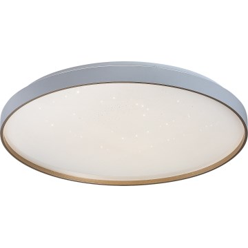 Rabalux - LED stropno svjetlo s prigušivanjem LED/80W/230V 3000-6500K promjer 77 cm + daljinski upravljač