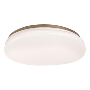 Rabalux - LED stropno svjetlo za kupaonicu LED/24W/230V IP44 pr. 41 cm