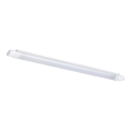 Rabalux - LED tehničko svjetlo LED/20W/230V IP65