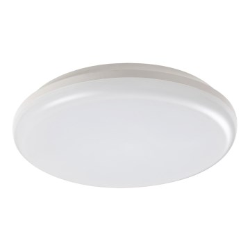 Rabalux - LED Vanjska stropna svjetiljka LED/24W/230V IP64