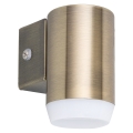 Rabalux - LED Vanjska zidna svjetiljka LED/4W/230V  IP44