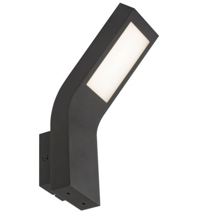 Rabalux - LED Vanjska zidna svjetiljka LED/9W/230V IP44