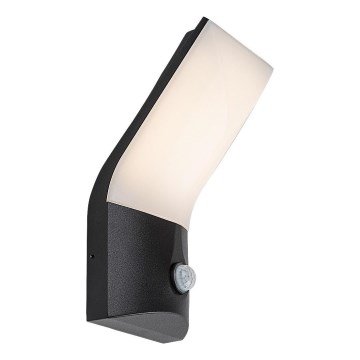 Rabalux - LED Vanjska zidna svjetiljka sa senzorom LED/10W/230V IP54