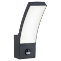 Rabalux - LED Vanjska zidna svjetiljka sa senzorom LED/12W/230V IP44