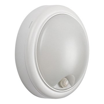 Rabalux - LED Vanjska zidna svjetiljka sa senzorom LED/15W/230V IP54