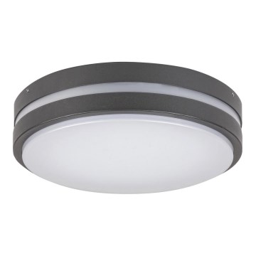 Rabalux - LED vanjsko stropno svjetlo HAMBURG LED/12W/230V IP44
