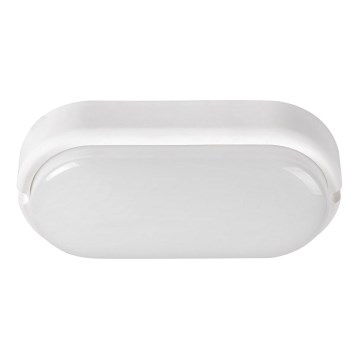 Rabalux - LED vanjsko stropno svjetlo LED/15W/230V IP54 bijela