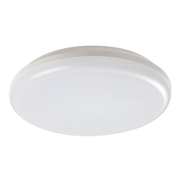 Rabalux - LED vanjsko stropno svjetlo LED/24W/230V IP64