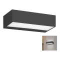 Rabalux - LED vanjsko zidno svjetlo LED/10W/230V IP65
