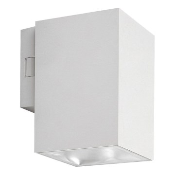 Rabalux - LED vanjsko zidno svjetlo LED/9W/230V 2700/4000/6500K IP65 bijela